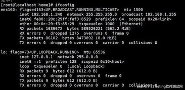 软件测试之旅 Linux服务器相关配置与测试服务部署指南